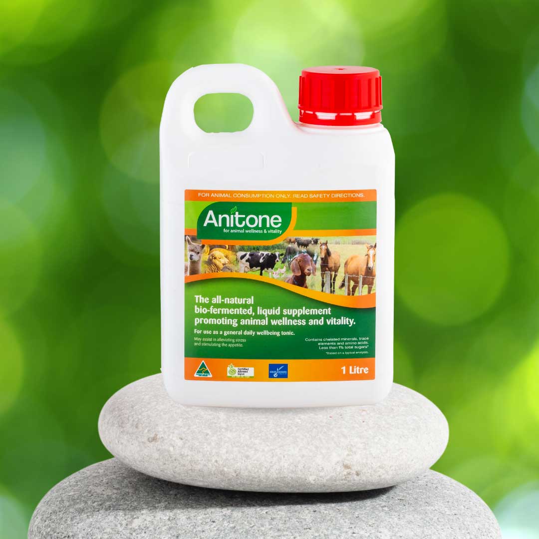 Anitone Feed Supplement 1L