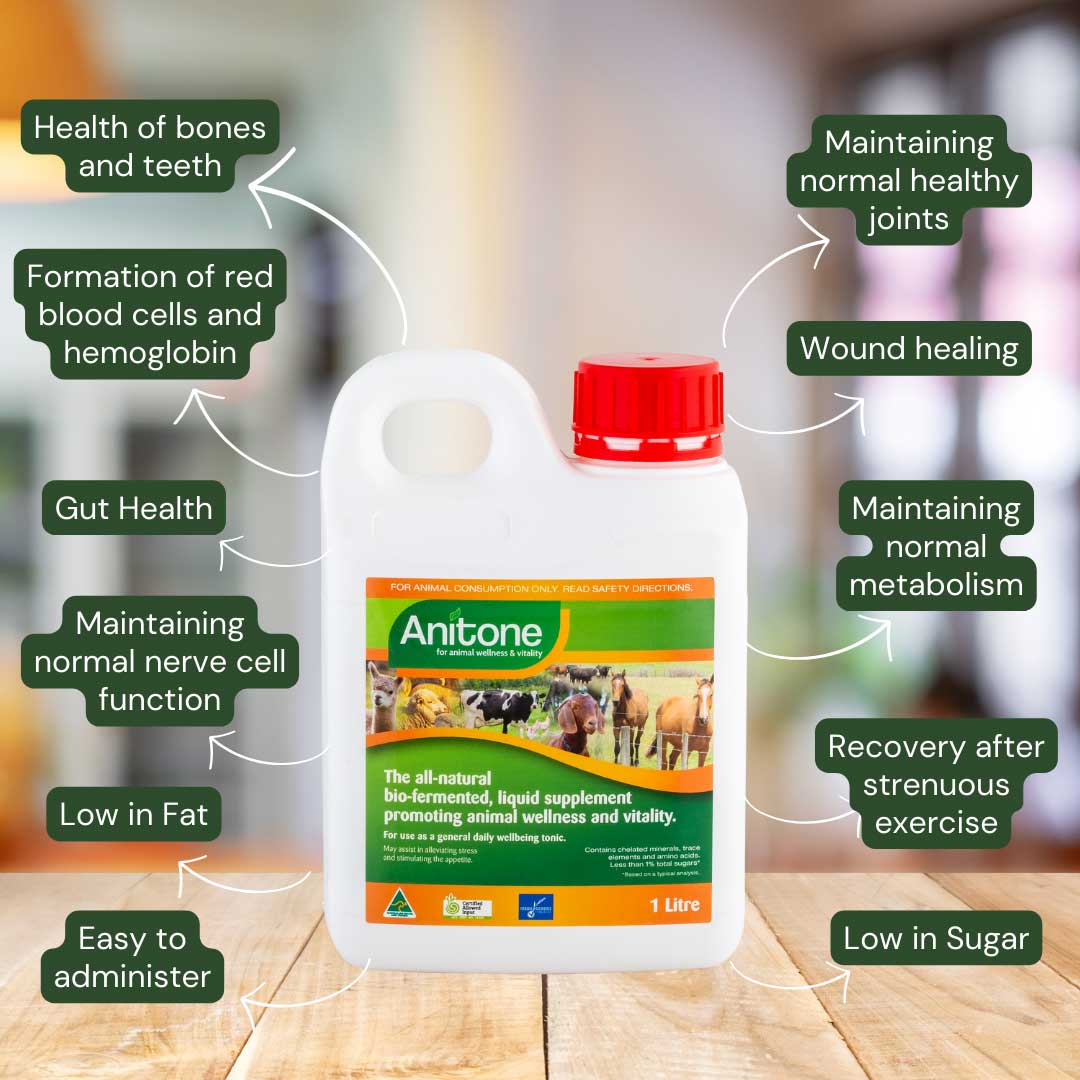 Anitone Feed Supplement 1L - Image 2