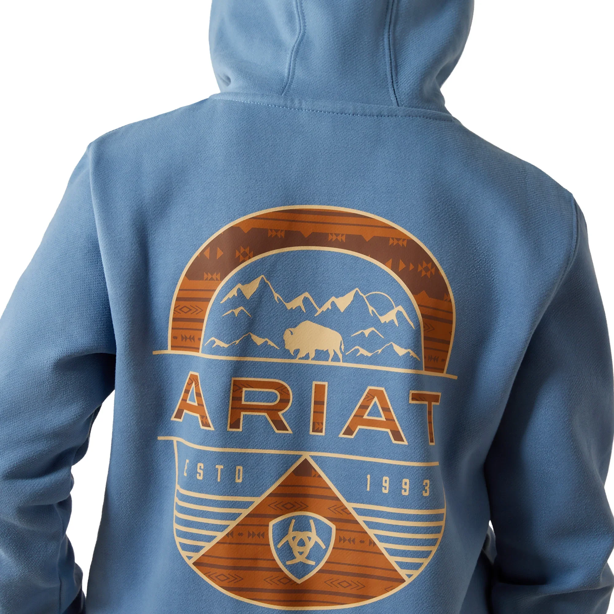 Ariat Boys Sun Valley Circle Hoodie - Image 4