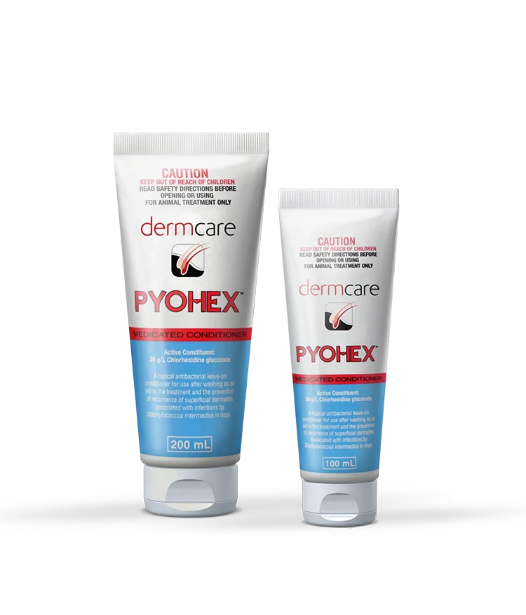 Dermcare Pyohex Medicated Conditioner