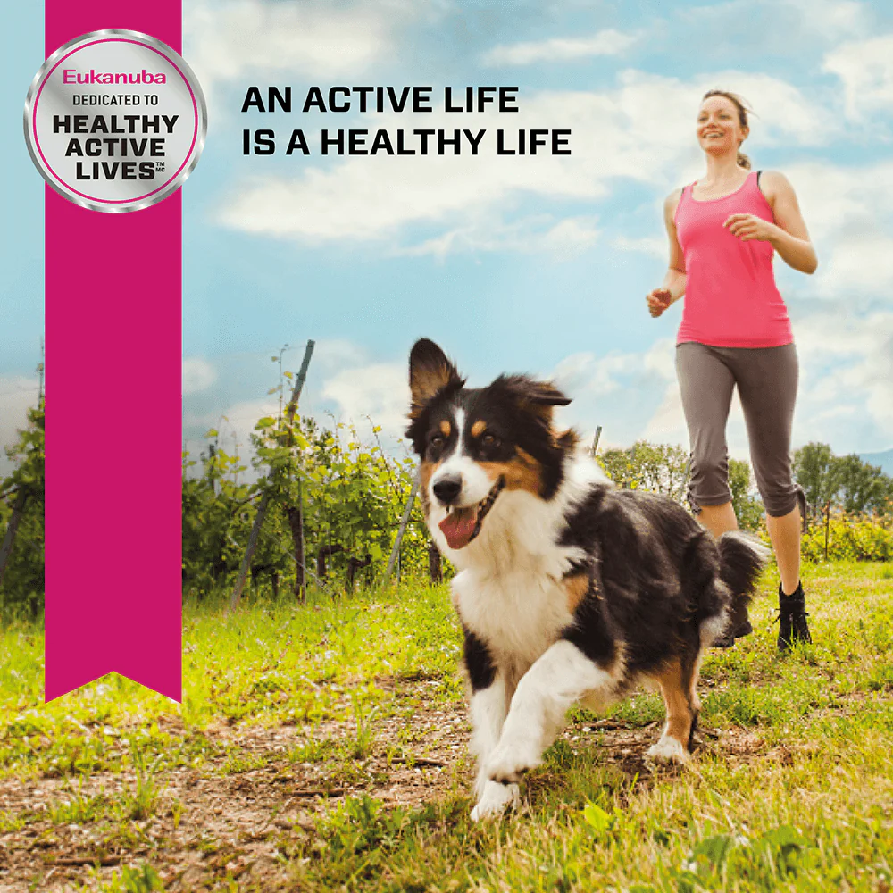 Eukanuba Senior Medium Breed Dry Dog Food - Image 6