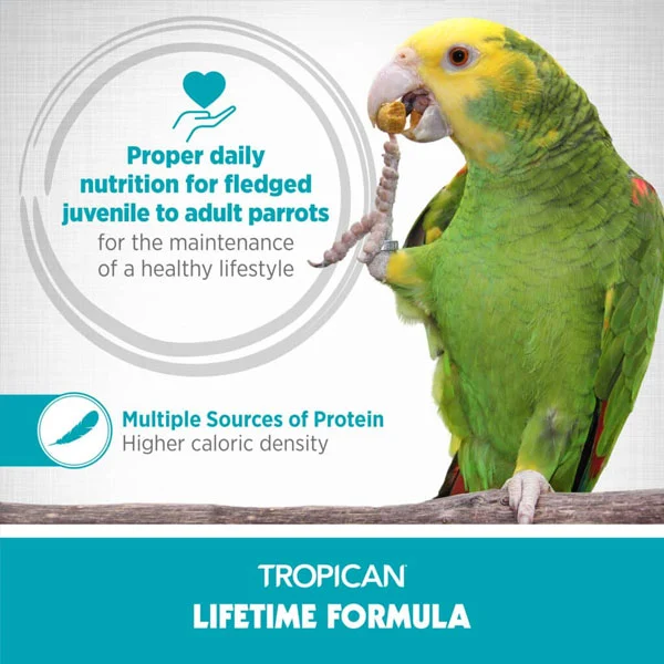 Hagen Tropican Lifetime 2mm Granules for Small Parrots/Cockatiel - Image 2