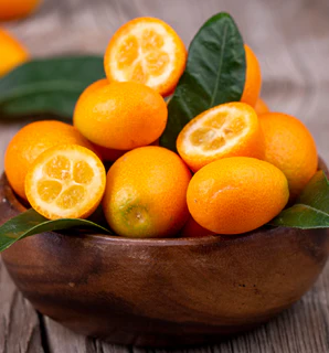 Kumquat - Meiwa Grafted