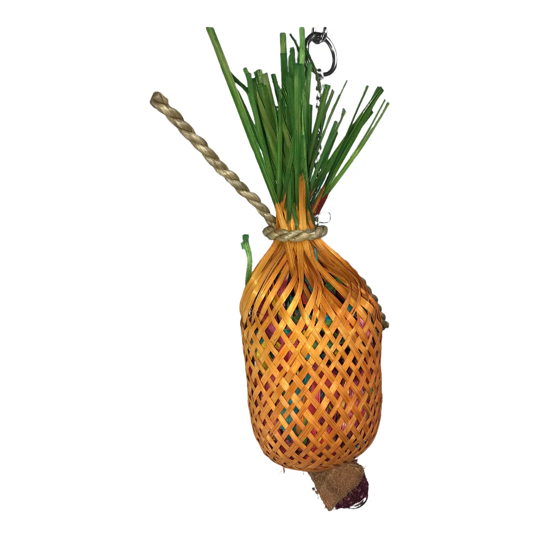 Ninos Java Pineapple Forage