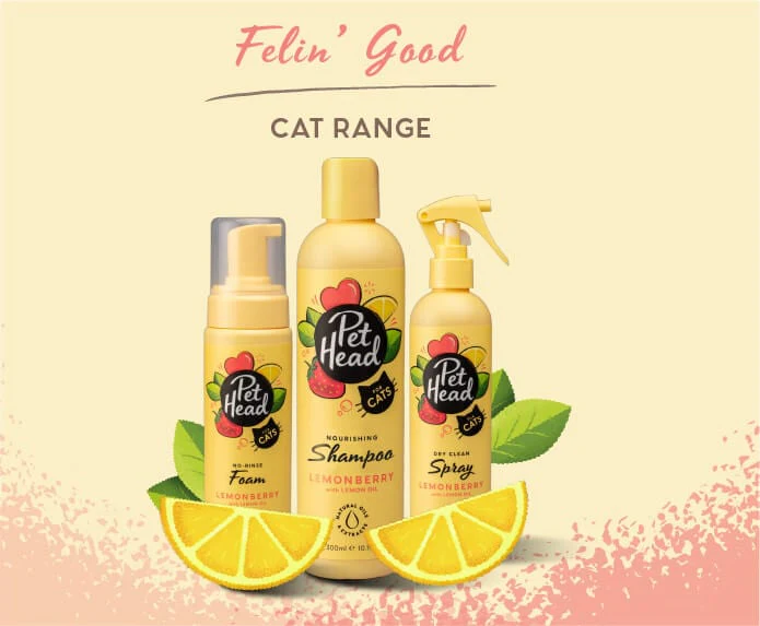 Pet Head Felin' Good Foam - Image 5