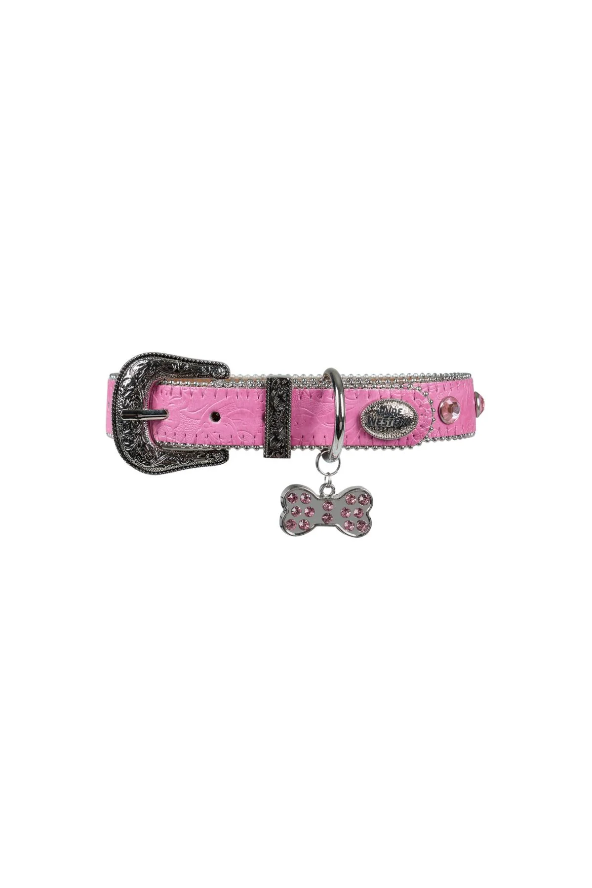 Pure Western Tilly Dog Collar - Image 2