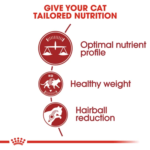 Royal Canin Cat Fit Dry Food - Image 2