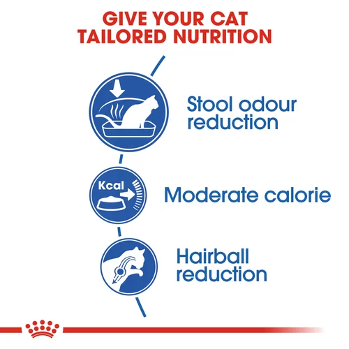 Royal Canin Cat Indoor Dry Food - Image 2