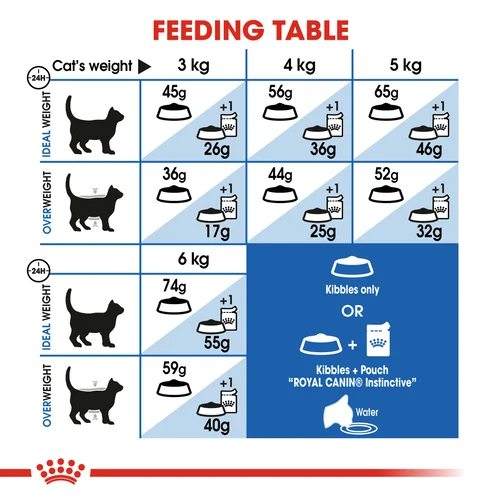 Royal Canin Cat Indoor Dry Food - Image 5