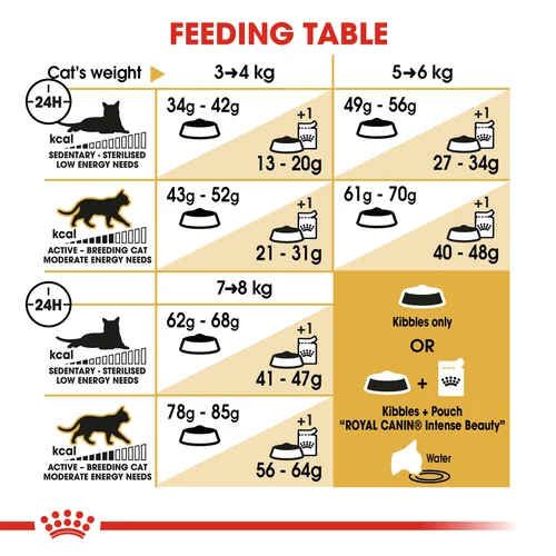 Royal Canin Cat Ragdoll Dry Food - Image 3