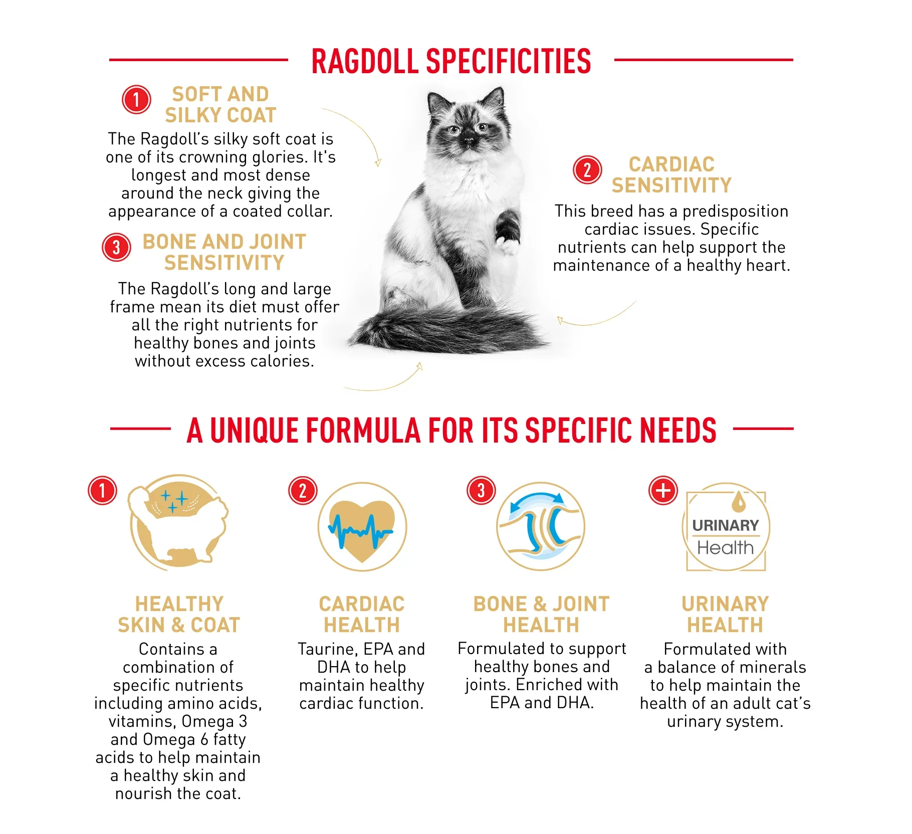 Royal Canin Cat Ragdoll Dry Food - Image 4