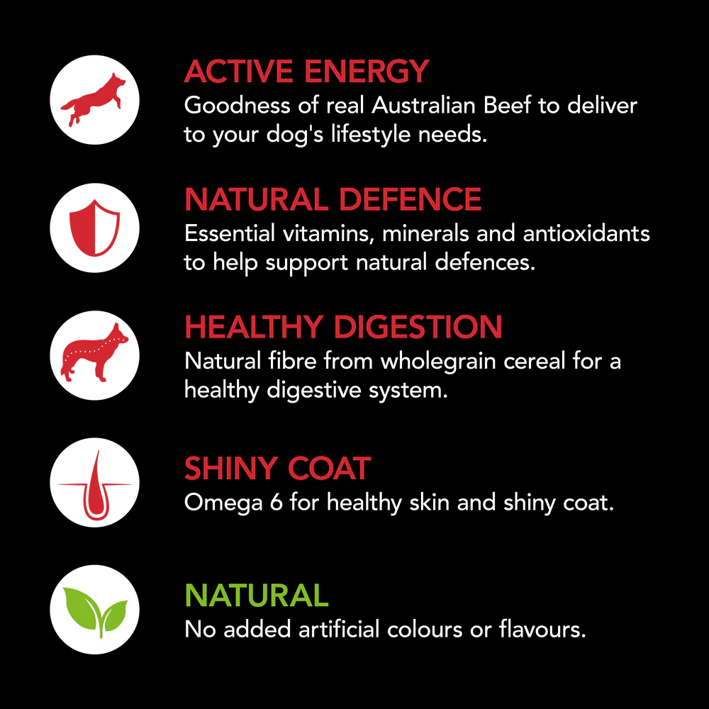Supercoat Adult Beef Dry Dog Food - Image 4