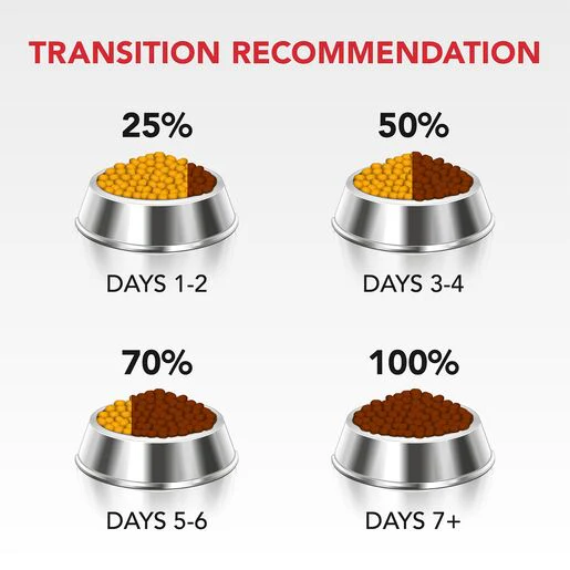 Supercoat Adult Chicken Dry Dog Food - Image 7